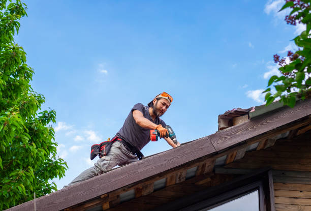 Best Roof Repair  in Drew, MS